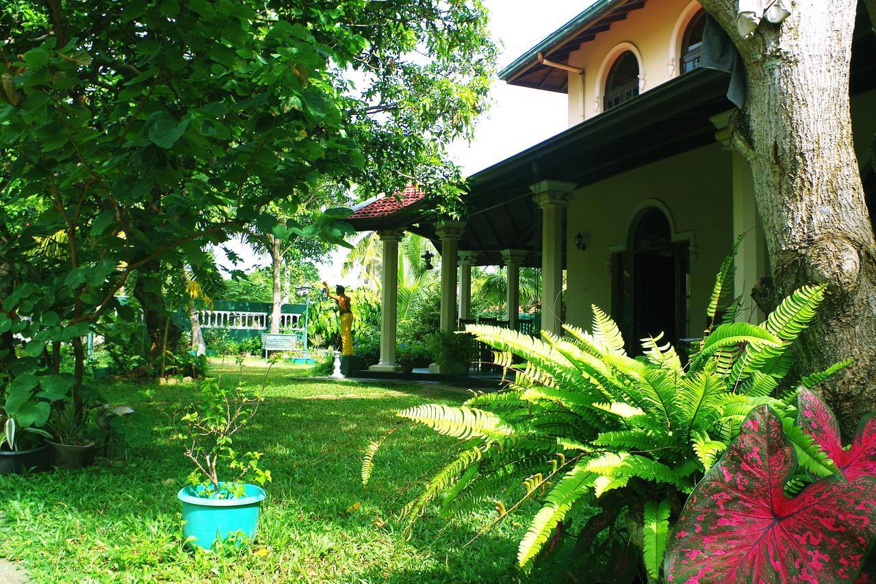Villa Eco Green Negombo Zewnętrze zdjęcie