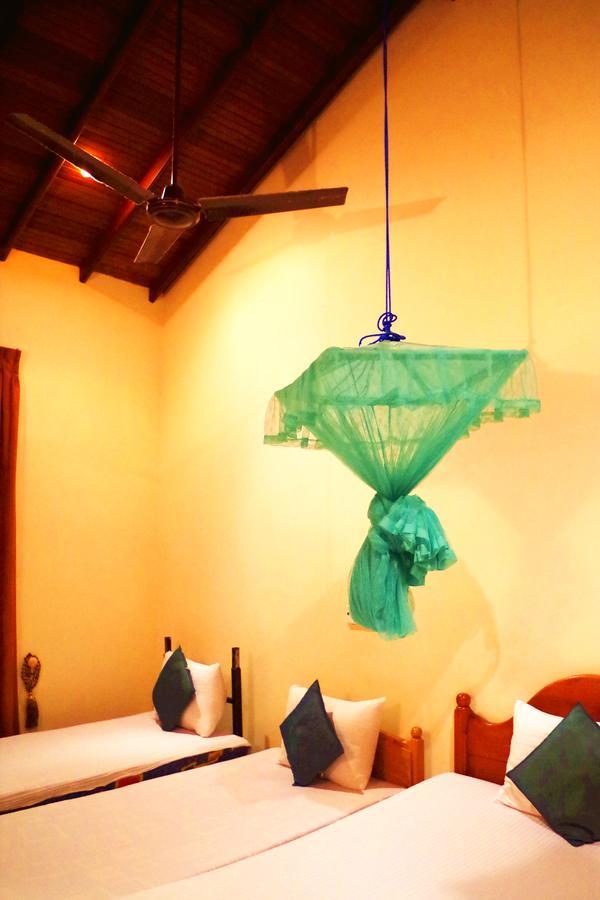 Villa Eco Green Negombo Zewnętrze zdjęcie